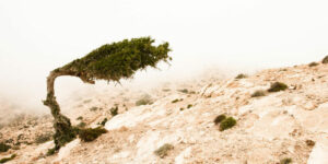 MRT US army Master Resilience Training